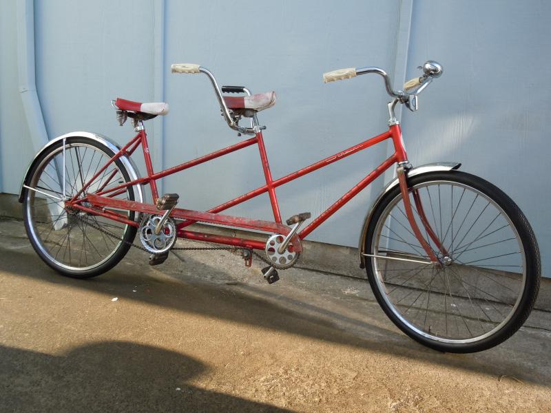 Schwinn Twin